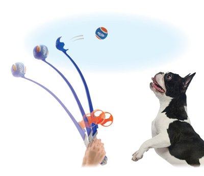 ☆米可多寵物精品☆新品 NERF DOG 啾啾網球 拋(1球入)寵物玩具狗狗 超小型犬~中型犬適用 飛行距離約10M