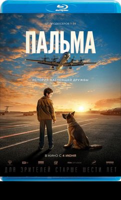 【藍光影片】忠犬帕爾瑪 / A Dog Named Palma (2021)