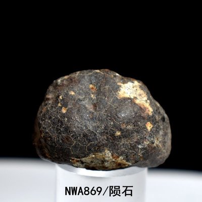 天然石隕石西北非球粒隕石天鐵NWA869橄欖隕石珍藏教學科普標本凌雲閣化石隕石 促銷