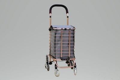 [ 家事達 ]台灣 GTMH- H-001N-3W 鋁製購物籃車(玫瑰金)+購物袋 - 爬階輪 特價