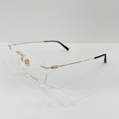 《名家眼鏡》德國蔡司純鈦紳士款金色無框光學鏡框 ZS-85019A F010【台南成大店 】