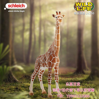 仿真模型思樂schleich長頸鹿 大象 斑馬14750 野生動物模型兒童仿真玩具