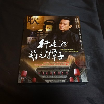 全新大陸劇《行走的雞毛撢子》DVD (全29集) 寇世勳 潘虹