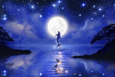 10-1447 特殊光澤1000片日本進口拼圖 夢幻海洋世界 月光下的海豚跳躍