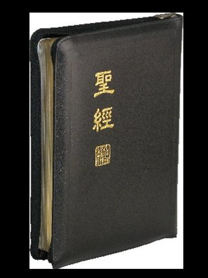 【中文聖經新標點和合本】CUNP67AZ 神版 中型 黑色皮面金邊