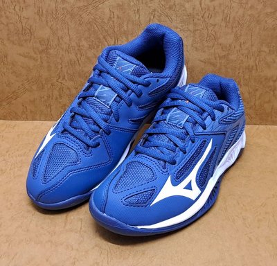 Maple 美津濃 MIZUNO 排球鞋 V1GD210321 大童 LIGHTNING STAR Z6 Jr. 公司貨