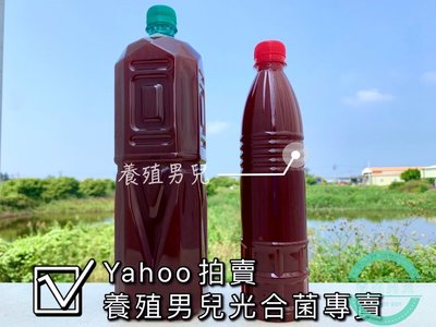 光合菌600ML一瓶。水產養殖益生菌，水族使用。