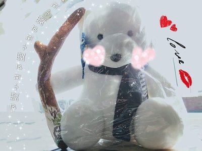 OKUMA 超可愛北極熊小熊 特價一隻300