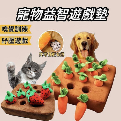 【現貨】拔蘿蔔 拔草莓 紅蘿蔔 寵物玩具 玩具 玩具 拔蘿蔔玩具 寵物益智玩具 紅蘿蔔玩具? 嗅聞墊 益智玩具 嗅聞玩具