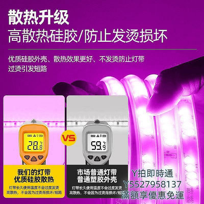 現貨：LED燈條紫色led燈帶粉色家用220v浪漫創意裝飾氛圍超亮戶外防水軟燈條