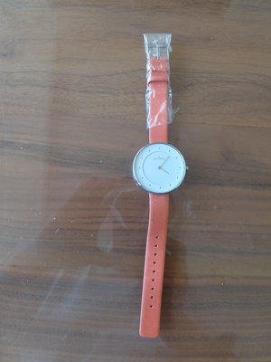 SKAGEN丹麥設計品牌超薄簡約風大錶面女腕錶1