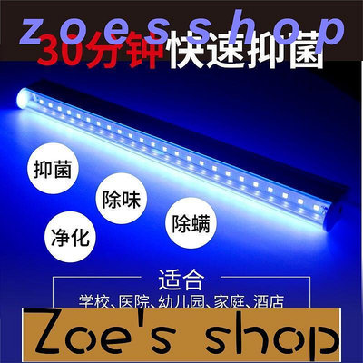 zoe-🉑開發票✨✨LED紫外線燈 24V紫外線抑菌燈管 12V藍紫光110V抑菌紫外線燈管