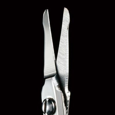 🐬 預購 ║ KZA 10 美妝雜貨 日本製 匠の技 鍛造鼻毛 剪刀 全長9.2cm 568