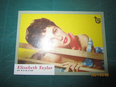 #換新收藏#ELIZABETH TAYLOR~WHO-Z-AT STAR?~伊莉莎白·泰勒~1100303~有問題請提問