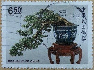 【薇薇安‧郵居】【植物】特280中國盆景郵票－6.5元*福建茶*(79年){舊票}[B]