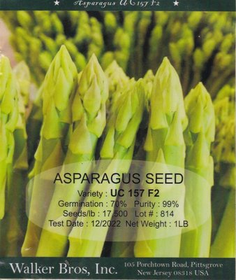 【大包裝蔬菜種子L340】加州UC-157青莖蘆筍~~高產量且耐病性強的優良品種，栽培容易！