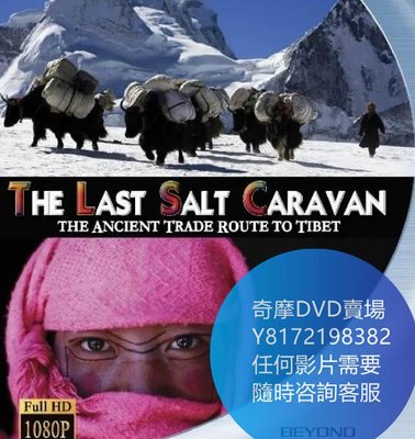 DVD 海量影片賣場 最後的鹽道/The Last Salt Caravan  紀錄片 2009年