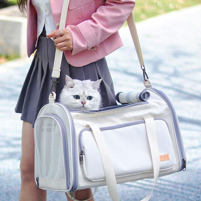貓包外出便攜手提透氣夏天貓咪帆布狗包大容量單肩斜挎寵物外帶包