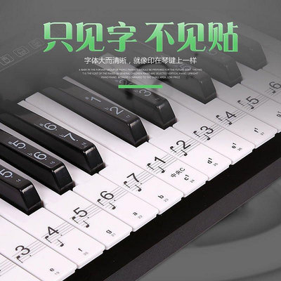 鋼琴電子琴鍵盤貼紙透明音標簡譜88鍵61 54鍵自學考級自~特價