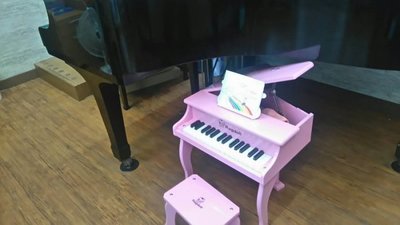 律揚樂器~展示品兒童幼兒玩具鋼琴 30鍵.幼兒生日禮物 有現貨粉紅.黑(其他顏色需預購)