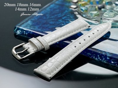 【時間探索】進口純正鱷魚皮高級錶帶短款亮白色 ( .20mm.18mm.16mm.14mm.12mm)