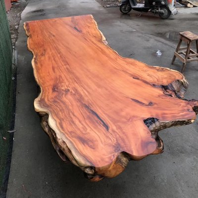 【木品覺】頂級收藏  珍貴紅豆杉 桌板