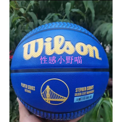 【性感小野喵】Wilson 籃球 基本款 WTB9103 橡膠籃球 室內外耐磨 7號籃球 NBA DRV PRO系列 威爾勝籃球 正品