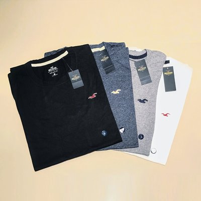 Hollister 圓領 海鷗刺繡logo 短Tee 男款 (多種顏色)