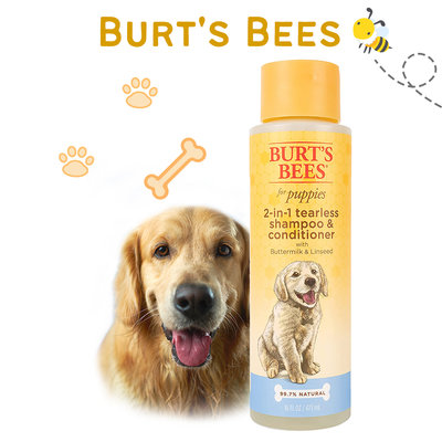 【雷恩的美國小舖】美國Burt's Bees 犬用沐浴露 寵物洗毛精 無香精 寵物美容用品 狗狗洗毛精 幼犬專用