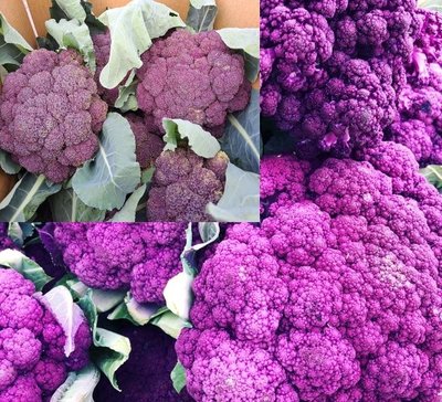 紫色花椰菜1箱(6~9顆)/產期:2~4月