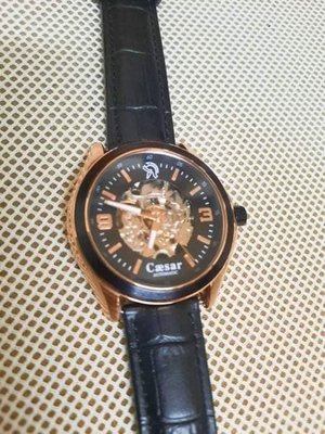 全新caesar 德國凱薩 細緻鏤空機械手錶(ca-1021) 頂級藍鋼螺絲