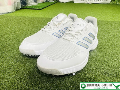 [小鷹小舖] Adidas Golf HQ1198 高爾夫 女仕球鞋 有釘 穩定舒適 紡織合成鞋面 彈跳中底