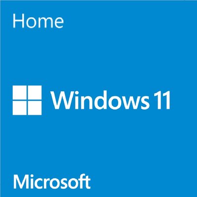 微軟 Microsoft Windows 11 Home 家用中文隨機版(64位元)【風和資訊】