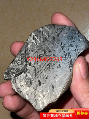納米比亞Gibeon鐵隕石G鐵原石切片 文玩 隕石 收藏【民國文玩】-2576