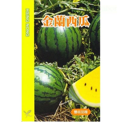 西瓜種子【蔬果種子】金蘭西瓜(黃肉) 興農牌 每包約2公克 彩色原包裝種子