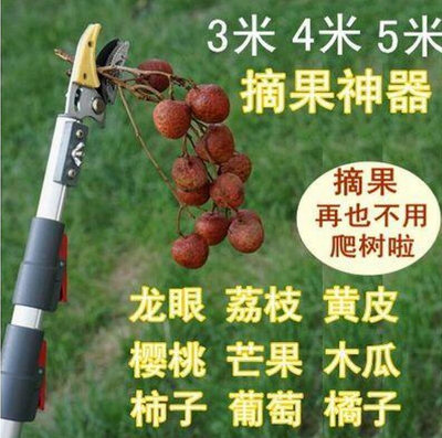 【現貨】日式3米 4米 伸縮 摘果器 採果器 高枝剪鋸 高空剪
