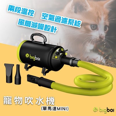 【原廠供應】bigboi MINI 寵物單馬達吹水機  吹風機 乾燥吹風機 寵物美容 寵物吹毛 寵物吹水機 單馬達吹風機
