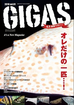 小郭水族-日本雜誌【GIGAS神秘的大型魚特輯】龍魚 魟魚 鴨嘴 鱷魚火箭