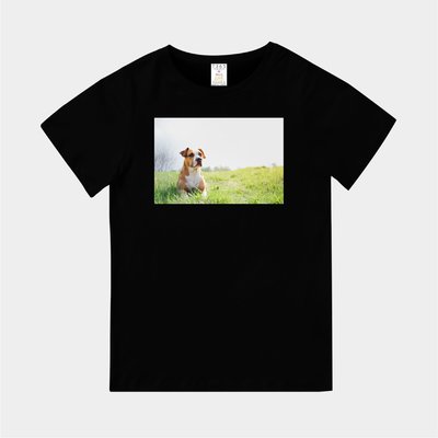 T365 MIT 親子裝 童裝 情侶裝 T恤 T-shirt 短T 狗 DOG 汪星人 草原 Grassland 毛小孩
