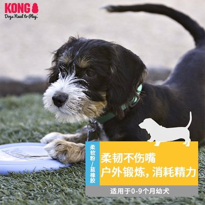 現貨好物KONG幼犬飛盤柔軟橡膠玩具 幼犬中小型犬游戲飛盤狗玩具 可開發票