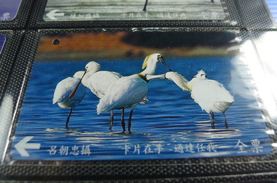 【YUAN】早期台北市公車票卡 編號A0054-7/12 黑面琵鷺 你儂我儂