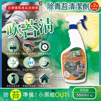 (2瓶超值組)吹苔清-除青苔清潔劑(噴槍型550ml/瓶)預防小黑蚊