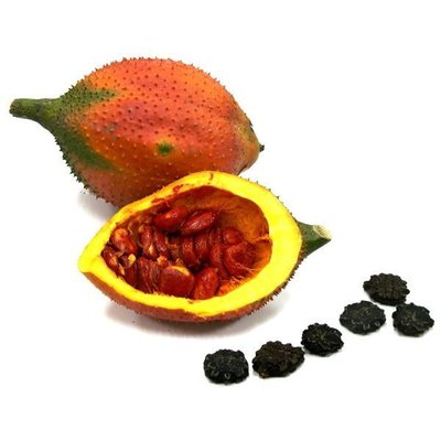 YenQ~木鱉果種子～1粒～越南種