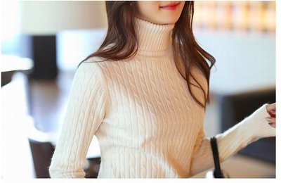 【Princesses 】 韓版優質舒適高領套頭針織毛衣 內搭衣 發熱衣 毛衣