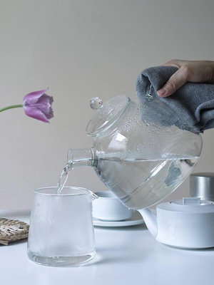 廠家出貨德國Trendglas Jena直火煮耐高溫玻璃壺燒水壺水果泡茶壺花茶過濾