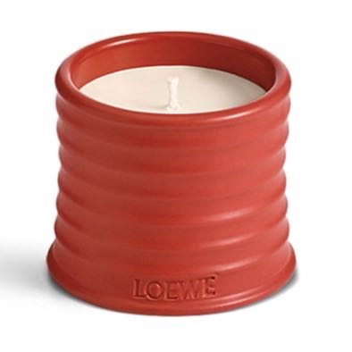 LOEWE 番茄葉 香氛蠟燭 Tomato Leaves Candle 170g