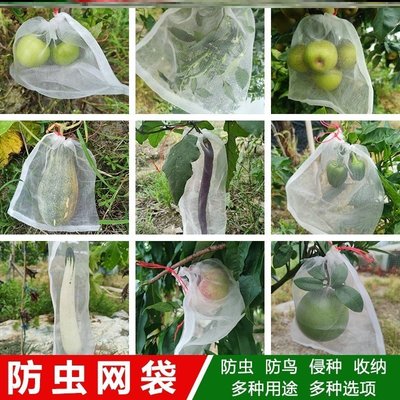 上新 小番茄袋專用袋 防鳥萄葡套果樹袋子水果袋套葡萄專用套袋~優惠價
