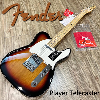 【搖滾玩家樂器】全新 公司貨 免運 可分期 墨廠 Fender Player Telecaster 漸層 電吉他 22格