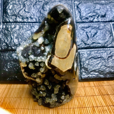 天然龜背石擺件【老王收藏】17656