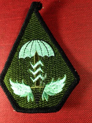 【布章。臂章】航空特戰指揮部胸章徽章/布章 電繡 貼布 臂章 刺繡